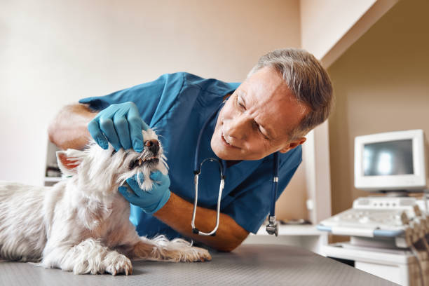 Best Emergency Root Canal Treatment in Holly Springs, GA